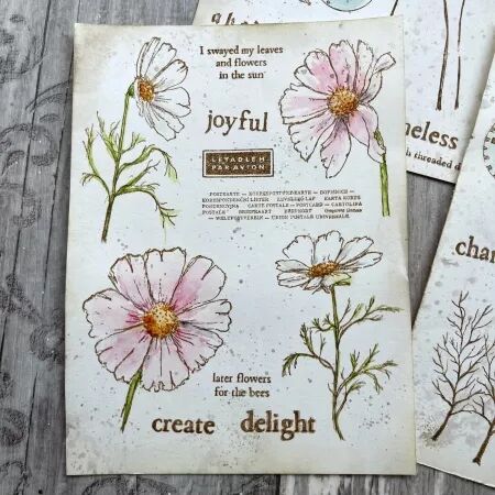 Tampon 51 - Cosmos Edition - Alison Bomber pour Eclectica PaperArtsy