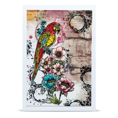 Tampon A6 - 1348 - Parrot Song - AALL and Create