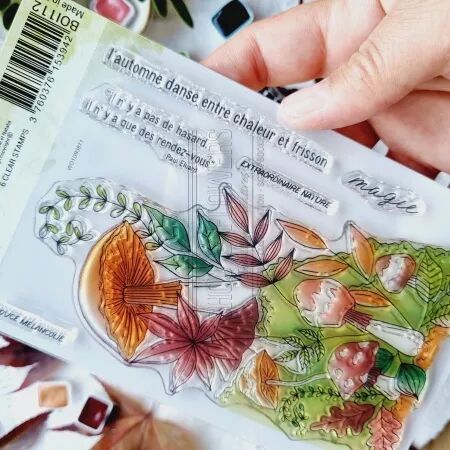 Tampon A6 - L\'orée des bois - Mushrooms - Chou Flowers