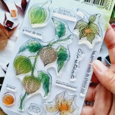 Tampon A6 - L\'orée des bois - Physalis - Chou Flowers