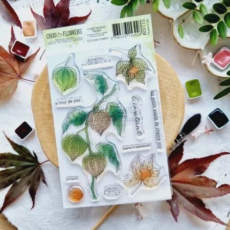 Tampon A6 - L\'orée des bois - Physalis - Chou Flowers