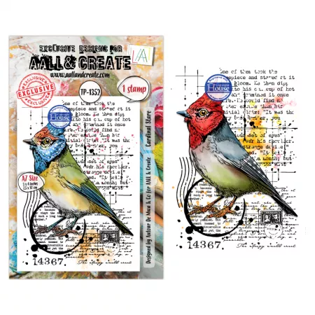 Tampon A7 - 1352 - Cardinal Stare - AALL and Create