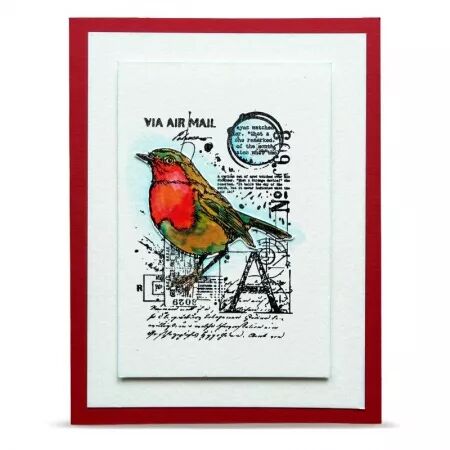 Tampon A7 - 1353 - Mailbird A - AALL and Create