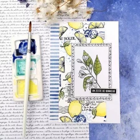 Tampon A7 - Rêve Azur - Fleur de citronnier - Chou Flowers
