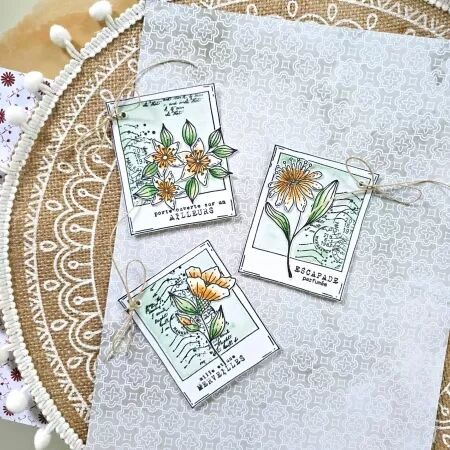 Tampon ECHAPPEES BELLES - collection Chant des dunes - Chou and Flowers