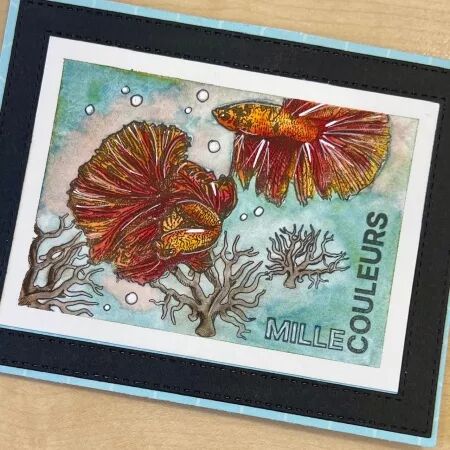 Tampons - Faune - Combattants