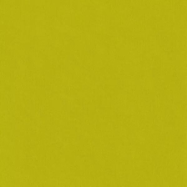 Toile de reliure - Citron vert - Alexandra Renke