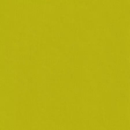 Toile de reliure - Citron vert - Alexandra Renke
