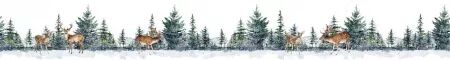 Tranparent Stickers on Roll - Winter Forest - Studio Light